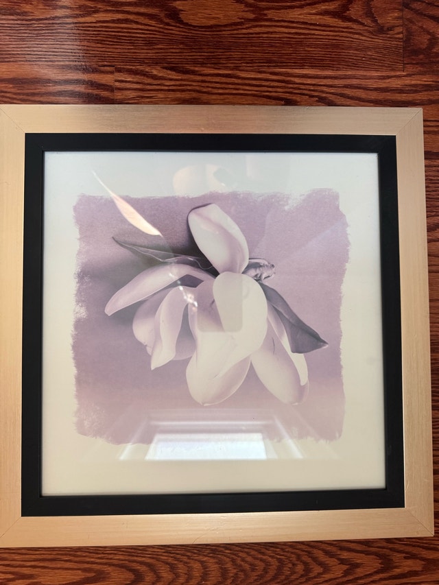 Framed floral prints - set of 4 - photo 3
