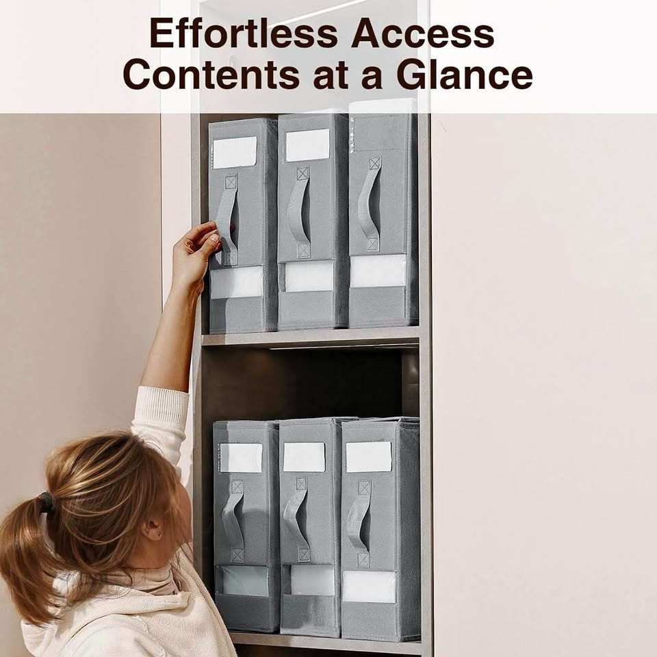 6-pack Closet Organizers and Storage Box