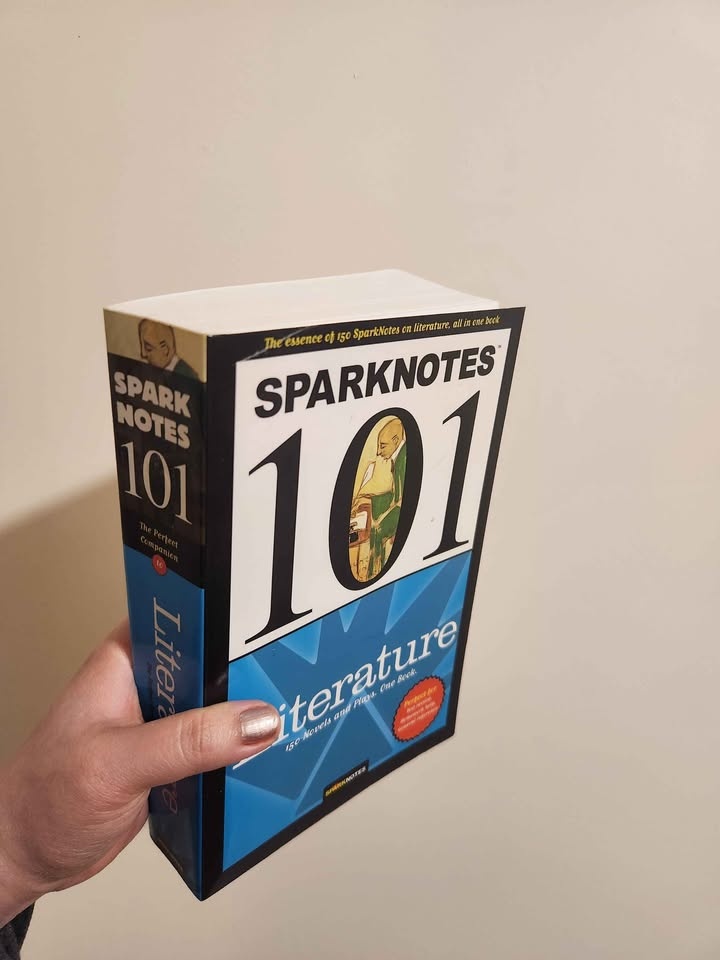 Sparknotes 101 Literature Study Review Book - photo 2
