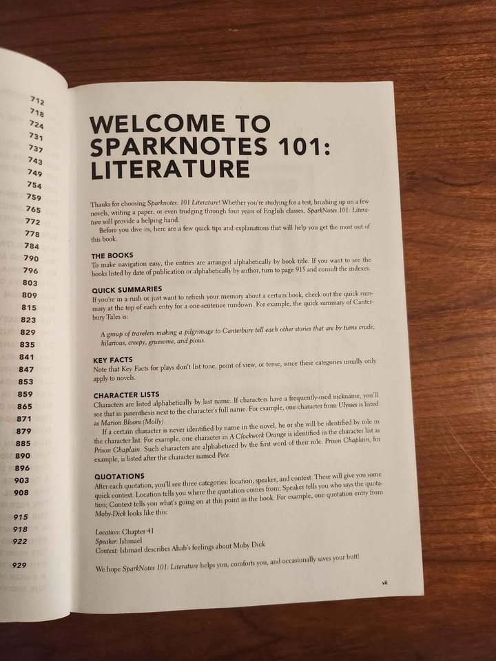 Sparknotes 101 Literature Study Review Book - photo 3