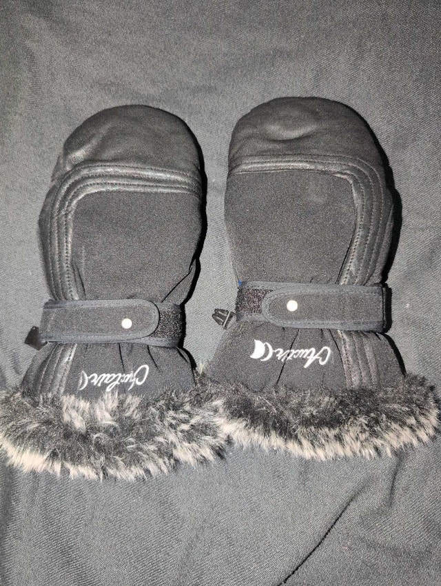 Auclair Mittens
