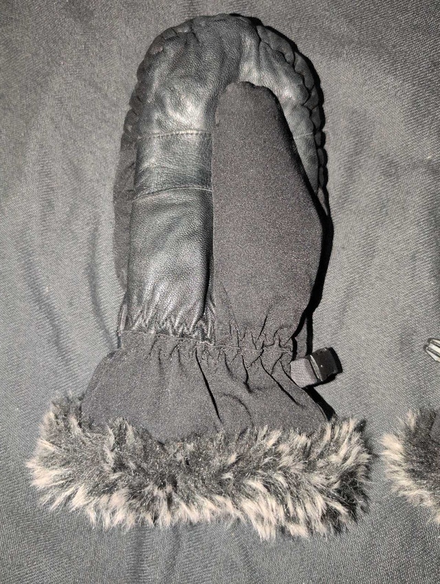 Auclair Mittens - photo 2