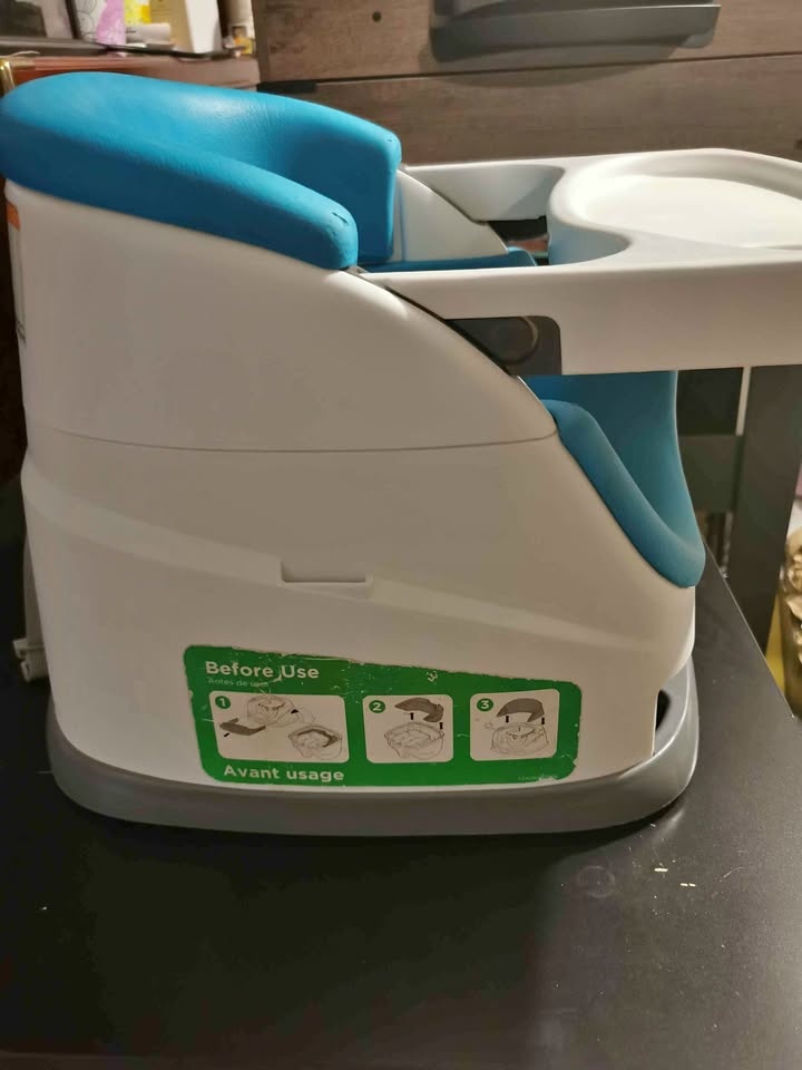 Ingenuity Baby Booster Seat with Tray