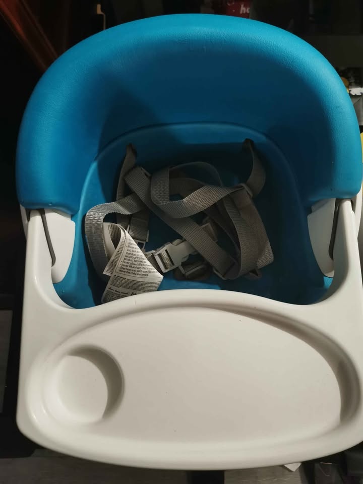 Ingenuity Baby Booster Seat with Tray - photo 3