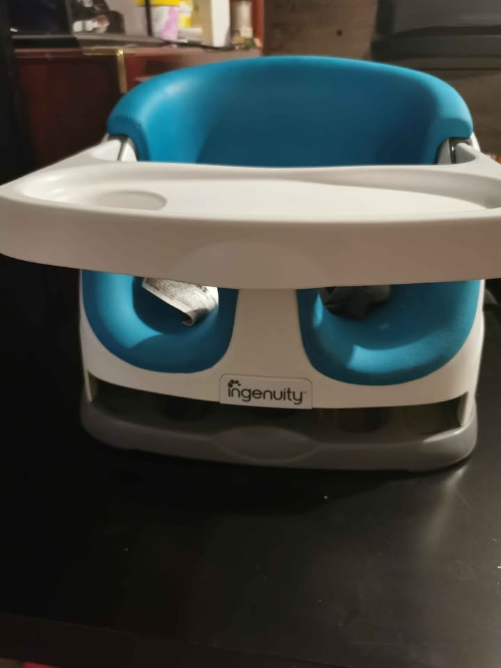Ingenuity Baby Booster Seat with Tray - photo 4