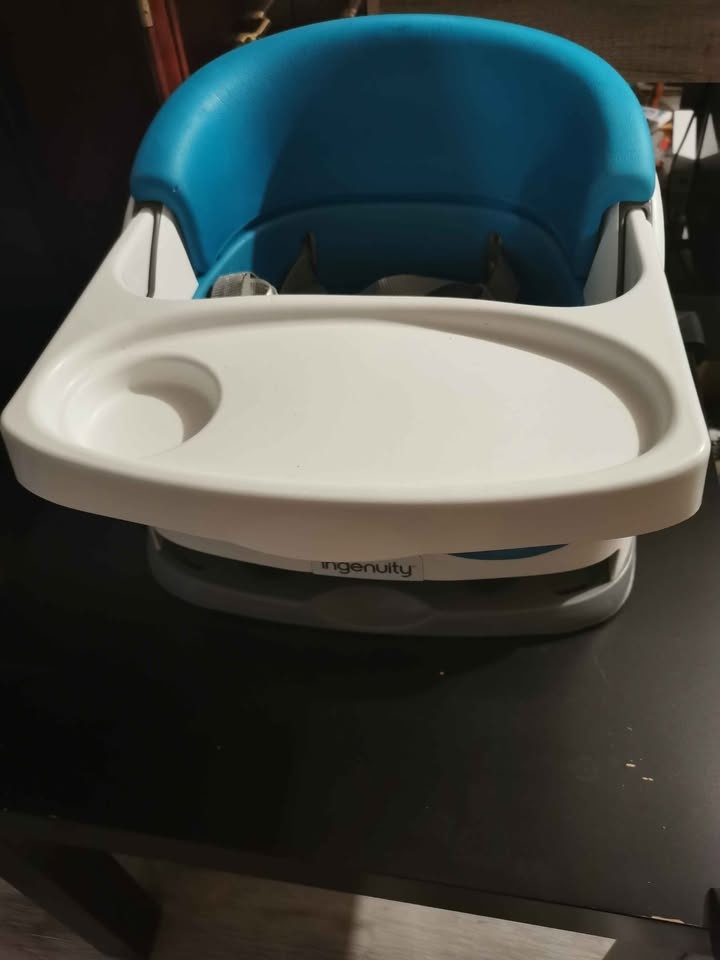 Ingenuity Baby Booster Seat with Tray - photo 5