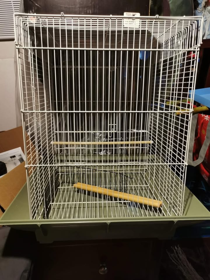 Bird Cage