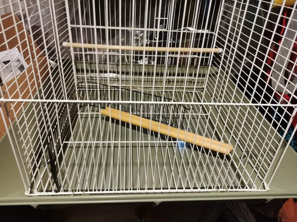 Bird Cage - photo 2