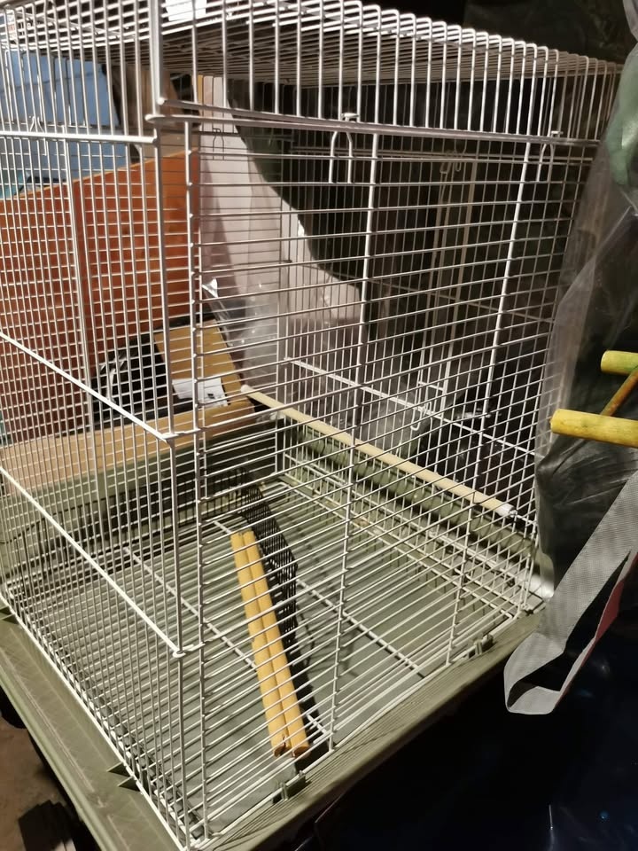 Bird Cage - photo 3