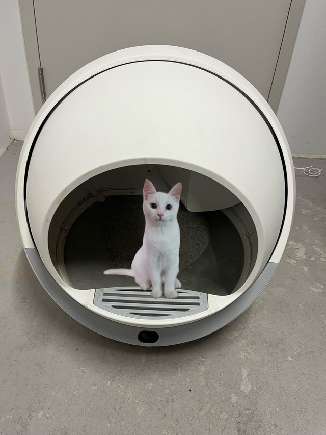 PetSafe Litter-Robot 3 Open Air Automatic Self-Cleaning Litter B