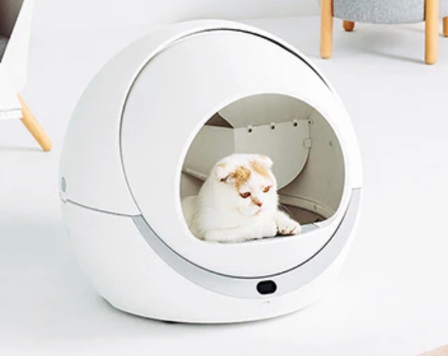 PetSafe Litter-Robot 3 Open Air Automatic Self-Cleaning Litter B - photo 2