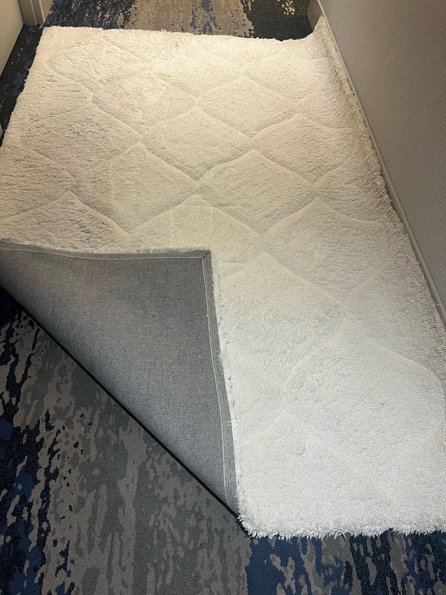Dynamic Rugs Shag Rug - photo 4