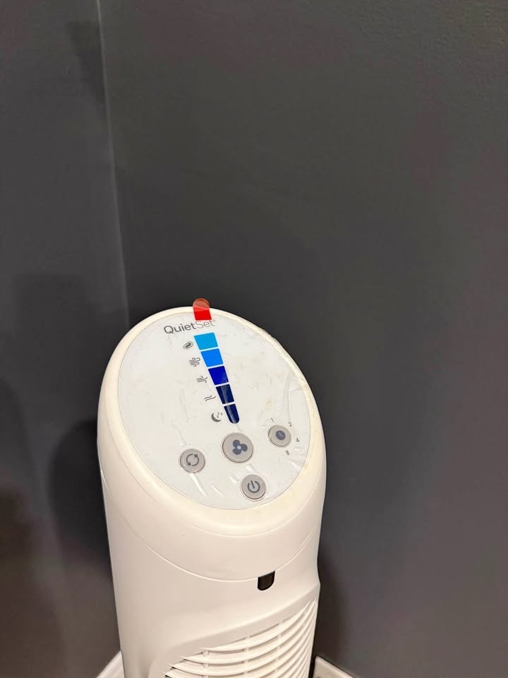 Portable Tower fan.