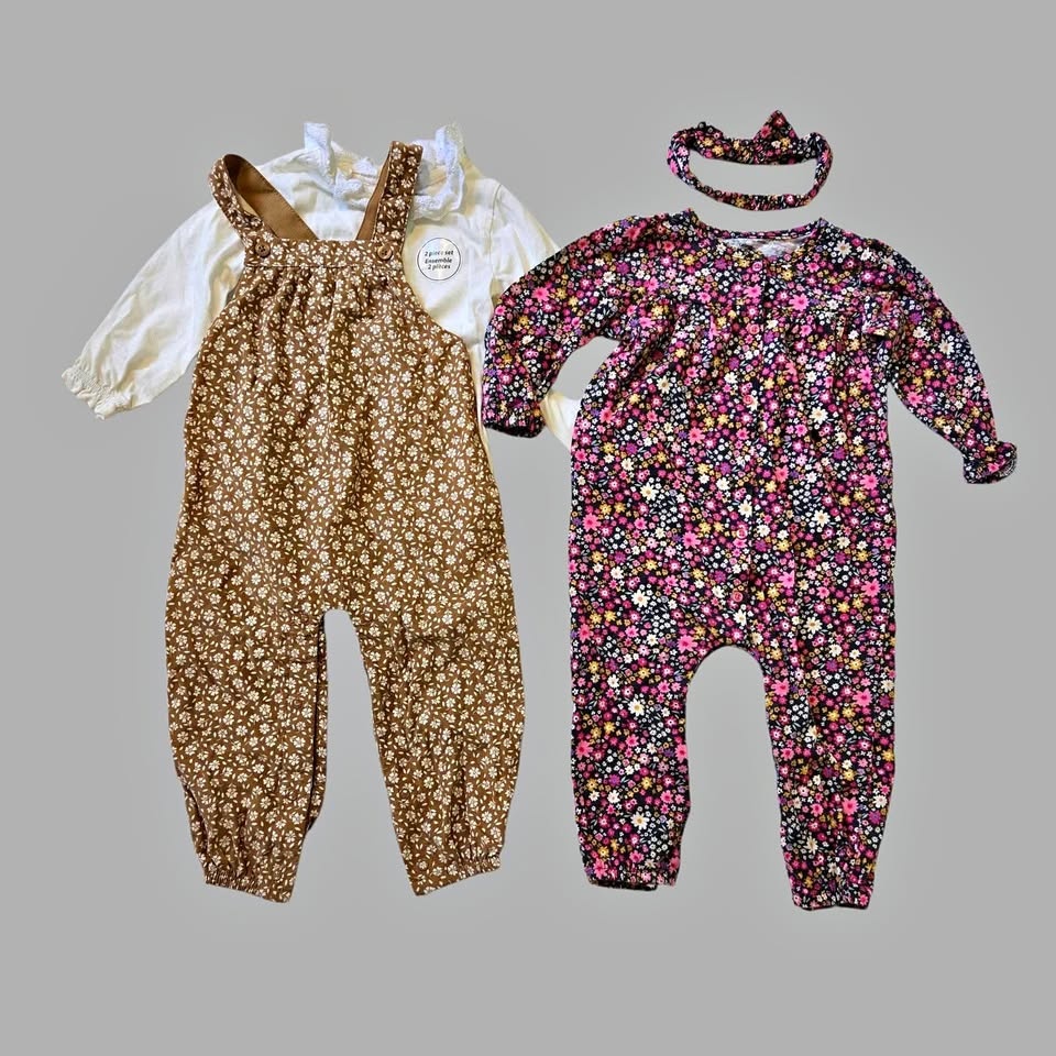 Baby Girl Clothes Bundle 18-24M