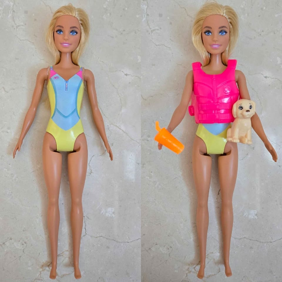 Brand New Barbie Beach Water Adventure Doll set w/ Puppy & Life