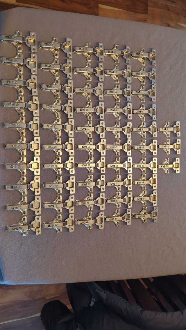 Salice Cabinet Hinges - 53 Pieces