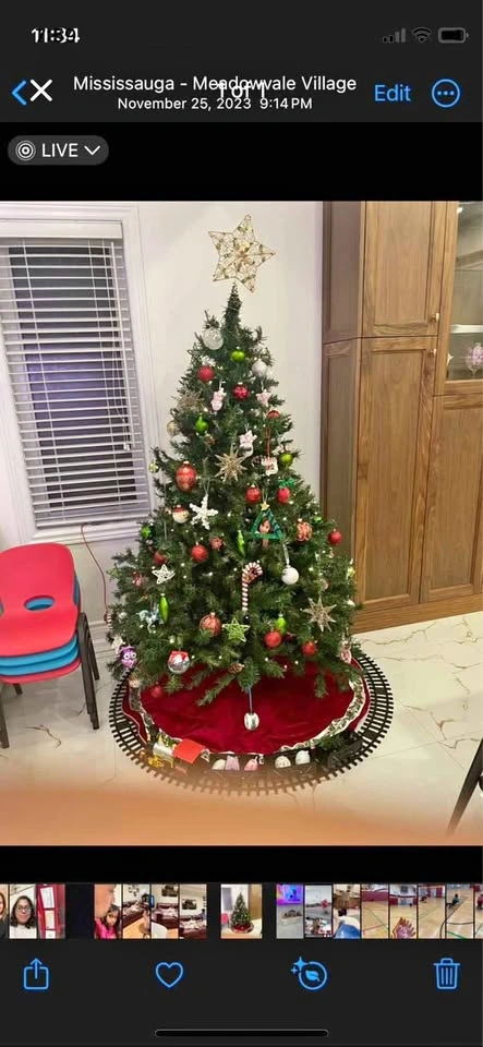 6Ft Christmas tree for sale No ornaments.