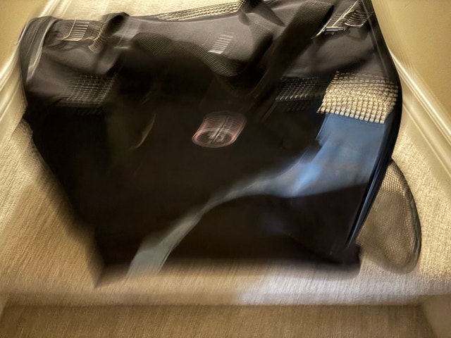 Gently Used Pet Carrier for Cats or Small Dogs