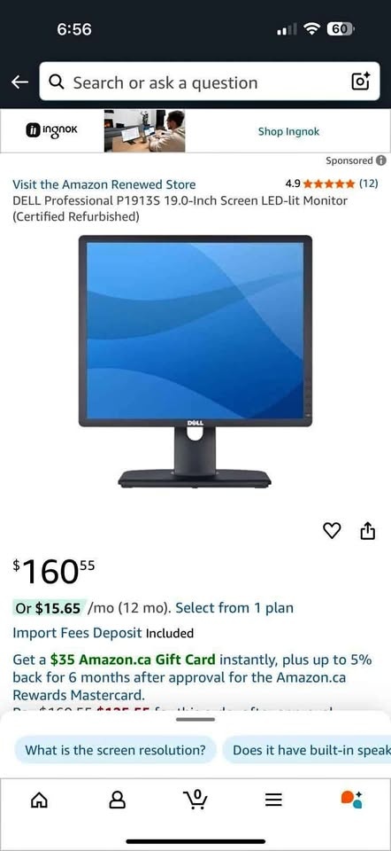 Dell Monitor p1913s
