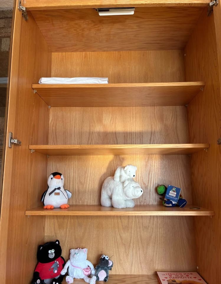 Solid Oak Bookshelf with Built-in Lighting (1999) - photo 2
