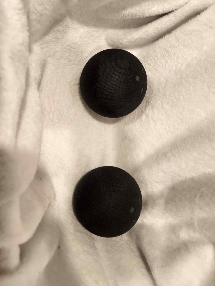 Amazon Echo Dots (2x - 5th gen Charcoal) 🏆