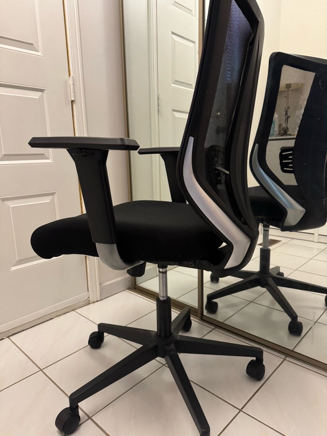 Ergonomic Office Chair - True Innovation - photo 4