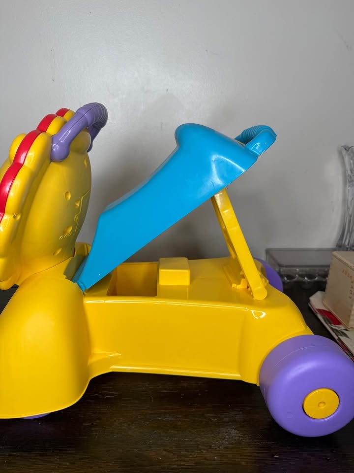 Walk-Me-Home Lion Toy - photo 2