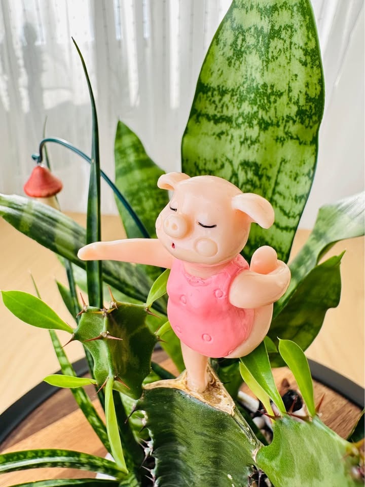 Unique Low maintenance plants - photo 3