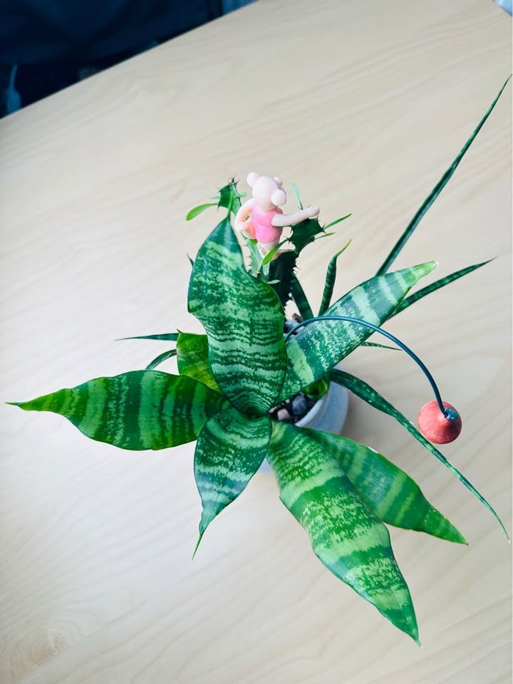 Unique Low maintenance plants - photo 5