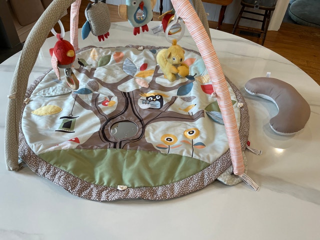 Skip Hop Activity Gym