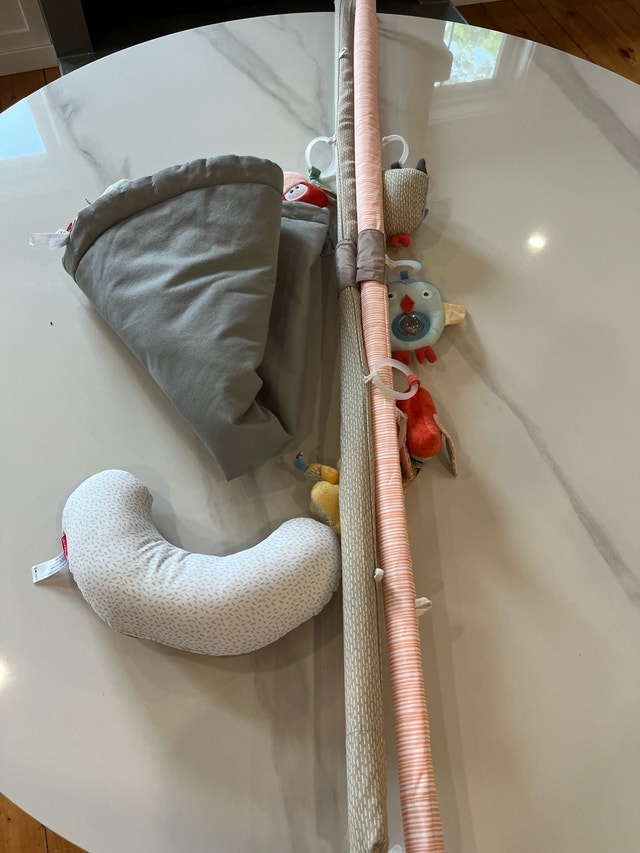Skip Hop Activity Gym - photo 5