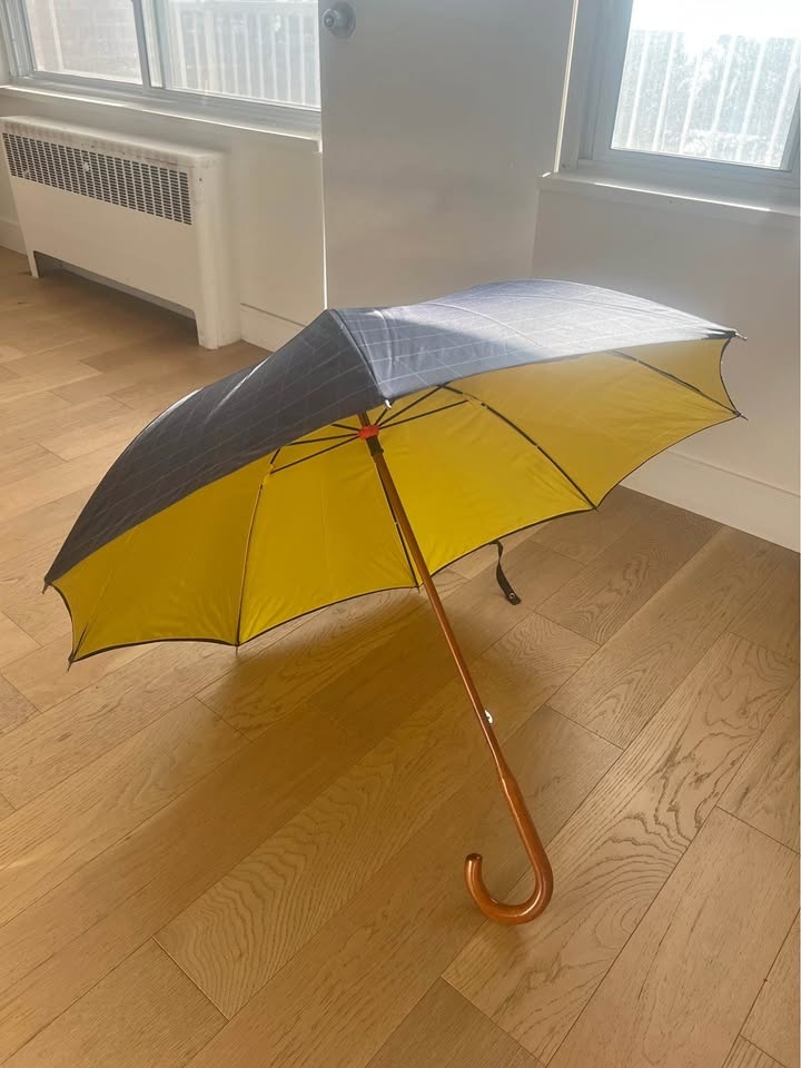 Stylish umbrella for sale