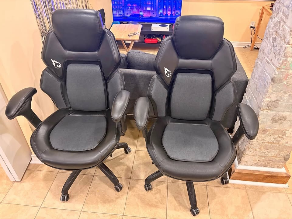 DPS Gaming Chairs (2 Chairs)