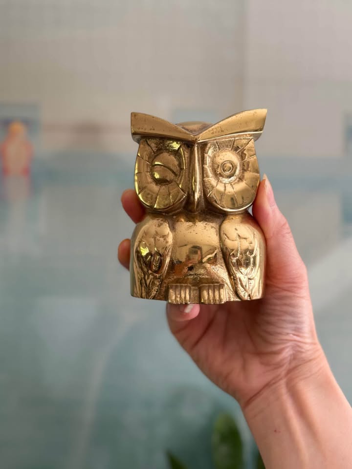 Vintage Brass Owl Coin Bank / Piggy Bank - photo 4