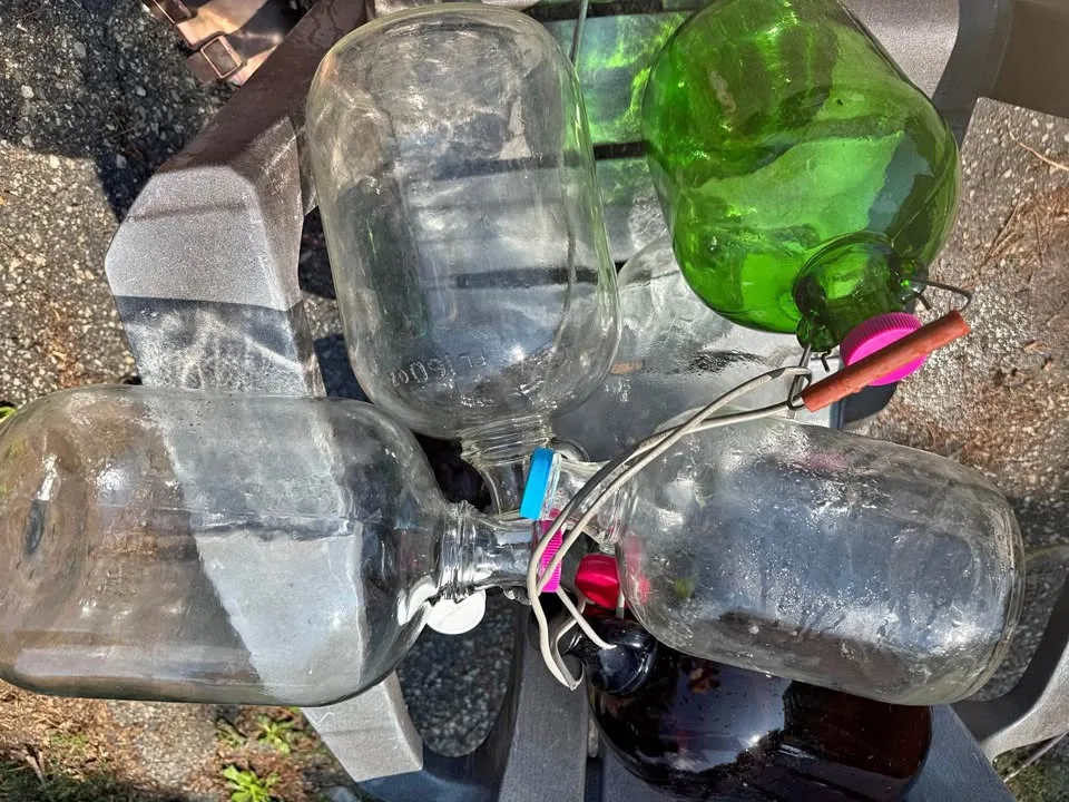 Glass jugs clean with lids thumbnail