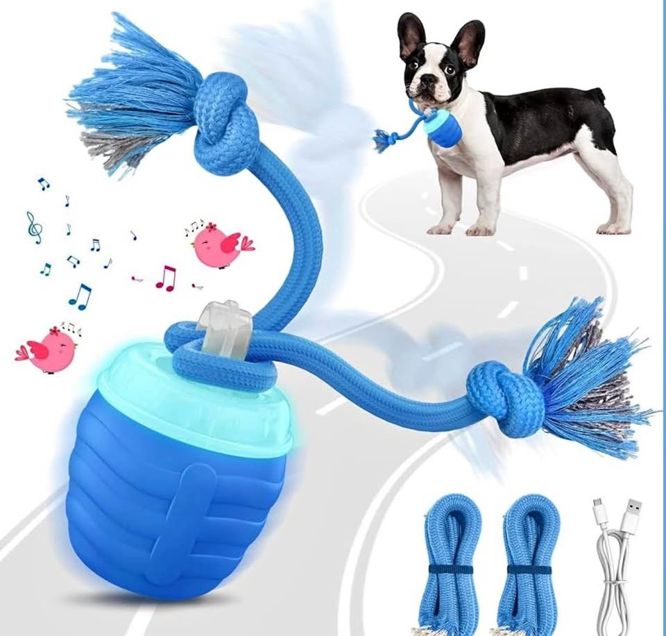 Interactive Dog Toy - Motion Activated Ball