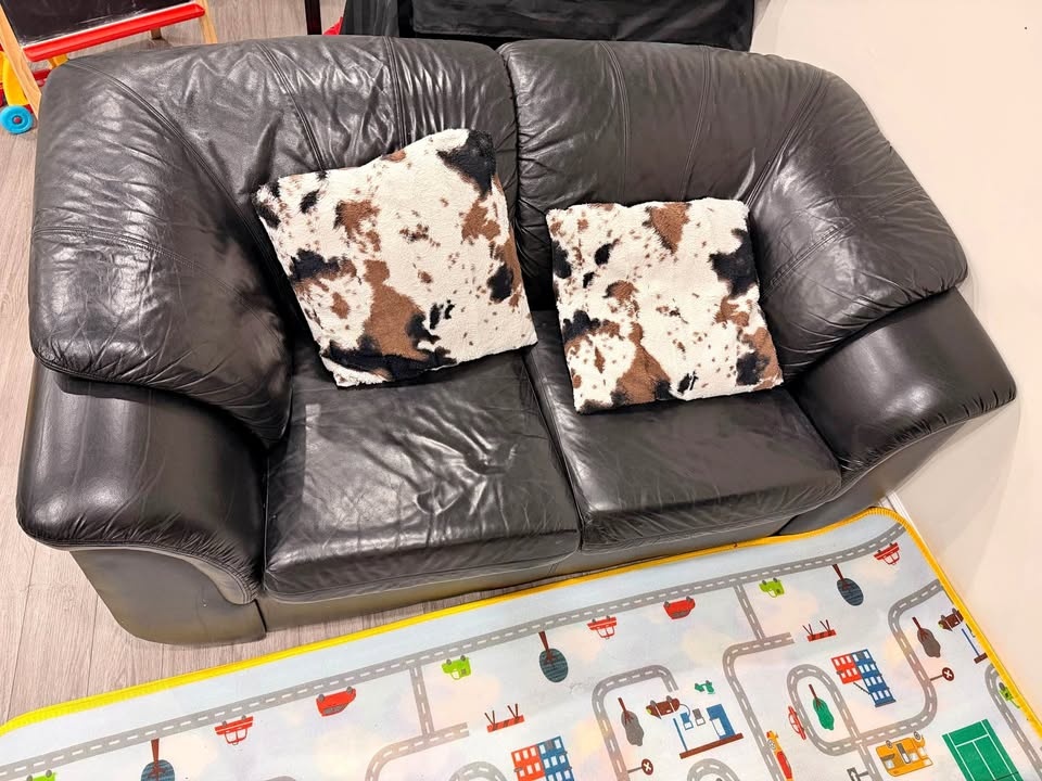 Sofa/Couch