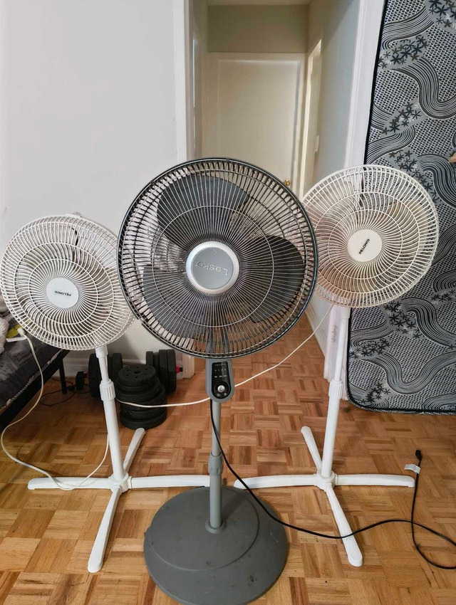 1 Grey Lasko & 2 White Pelonis Table Fans - $10 Each