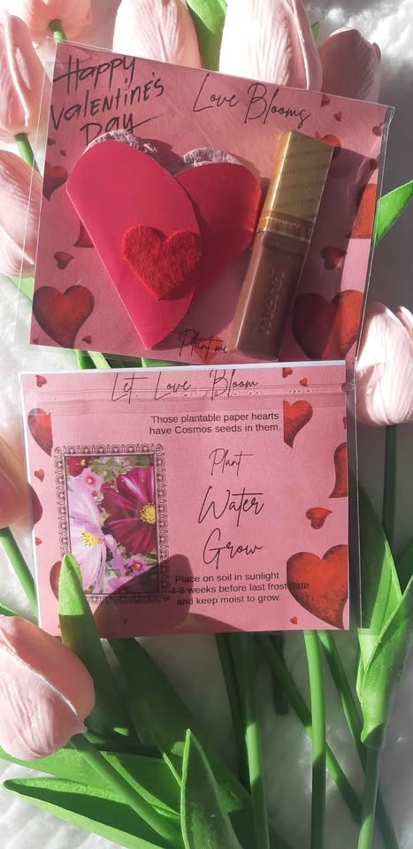 Valentine Day small gift - 2 plantable paper hearts and tiny cho - photo 2