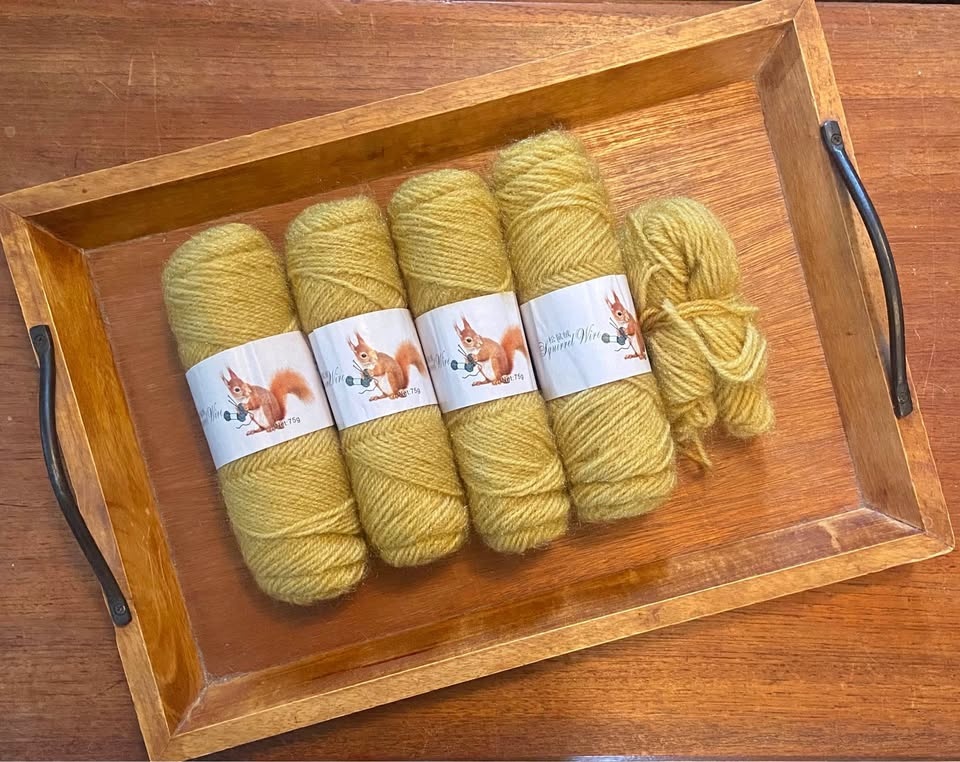 Squirrel Yarn