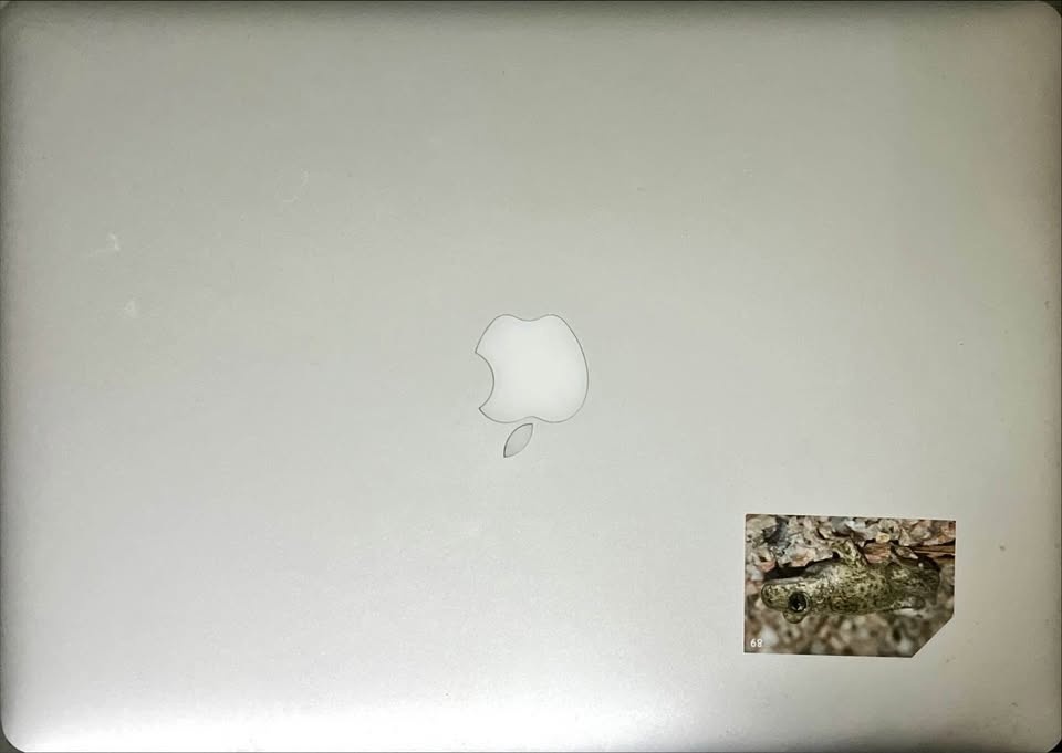 Apple MacBook Pro (Retina) 15.4" Intel i7 16GB RAM 256GB/512GB/1