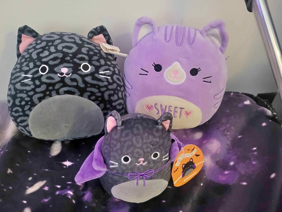 Squishmallow Cat & Halloween Plush Bundle (NWT) – Pickup Southga
