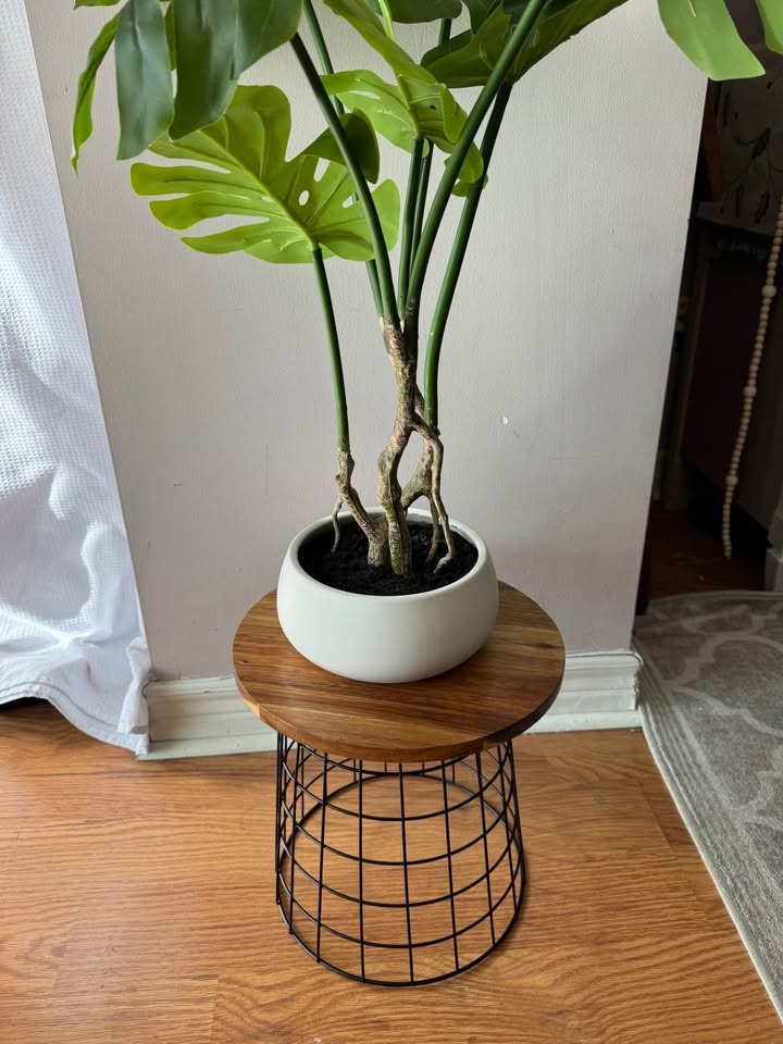 Acacia Wood Plant Stand - Bathurst & Lakeshore - photo 2