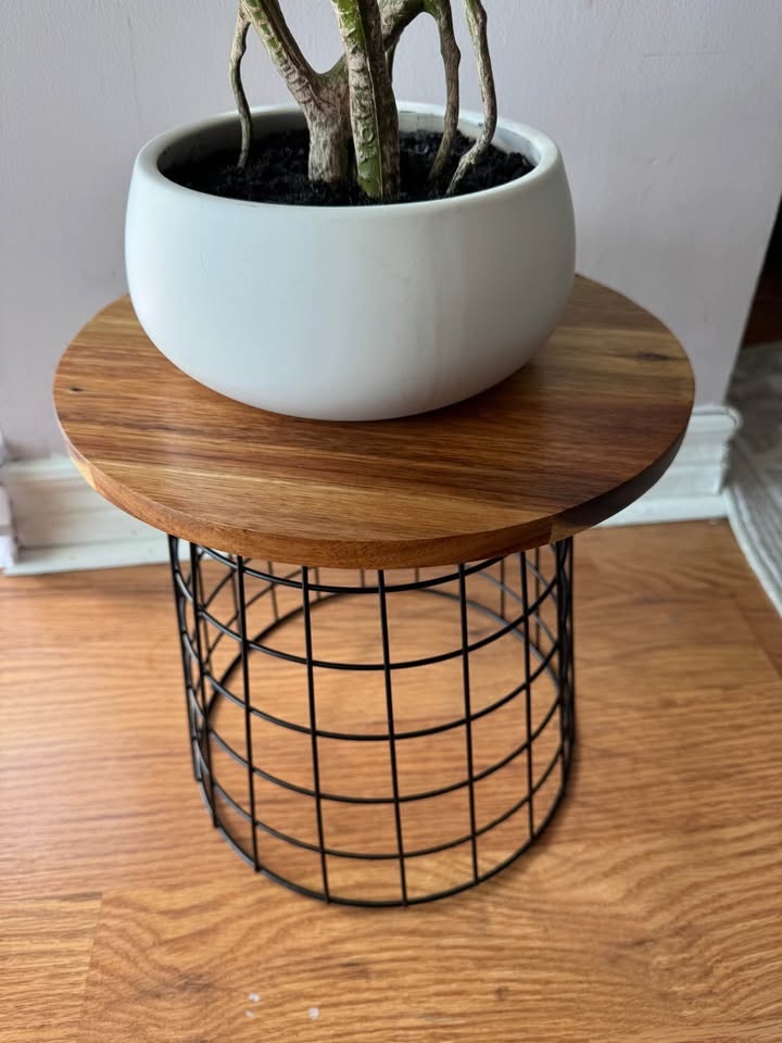 Acacia Wood Plant Stand - Bathurst & Lakeshore - photo 3
