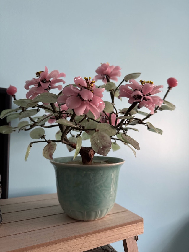 Vintage Chinese Cherry Blossom Bonsai Tree