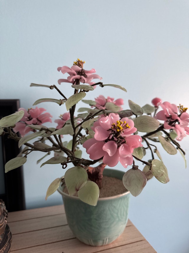 Vintage Chinese Cherry Blossom Bonsai Tree - photo 4