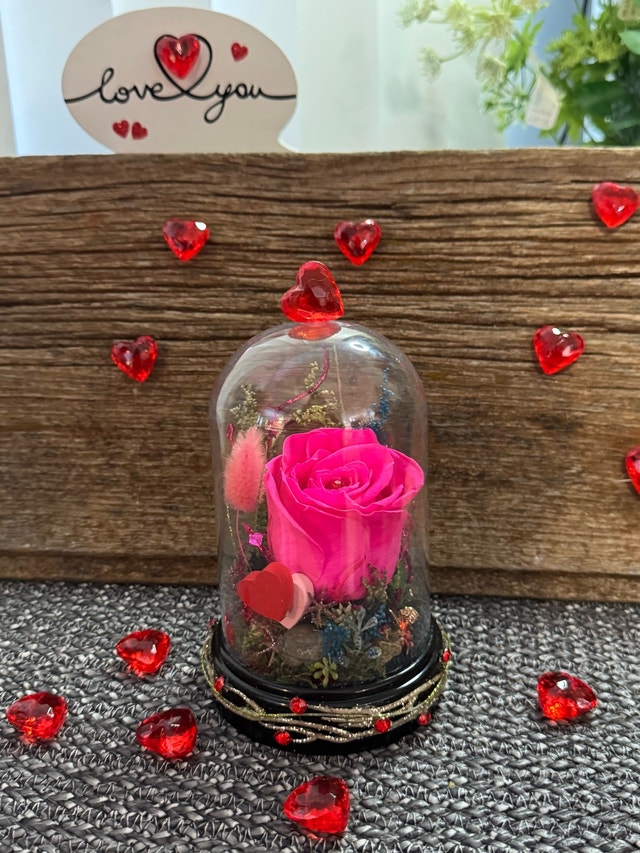 Eternal Rose Cloche for Valentines