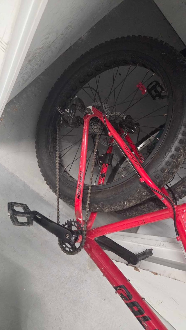 Raleigh Fat Bike - photo 2