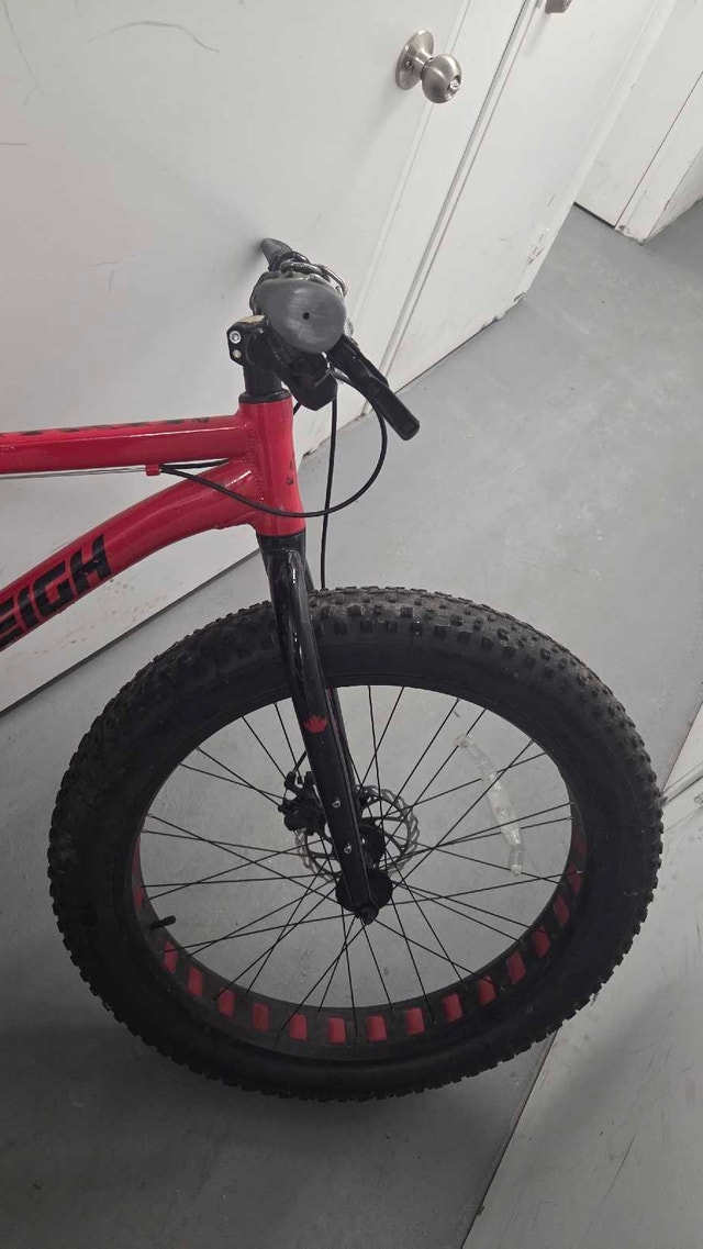 Raleigh Fat Bike - photo 3