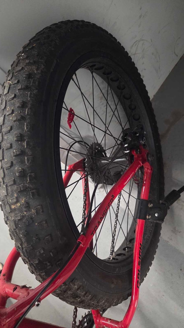 Raleigh Fat Bike - photo 4